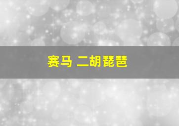 赛马 二胡琵琶